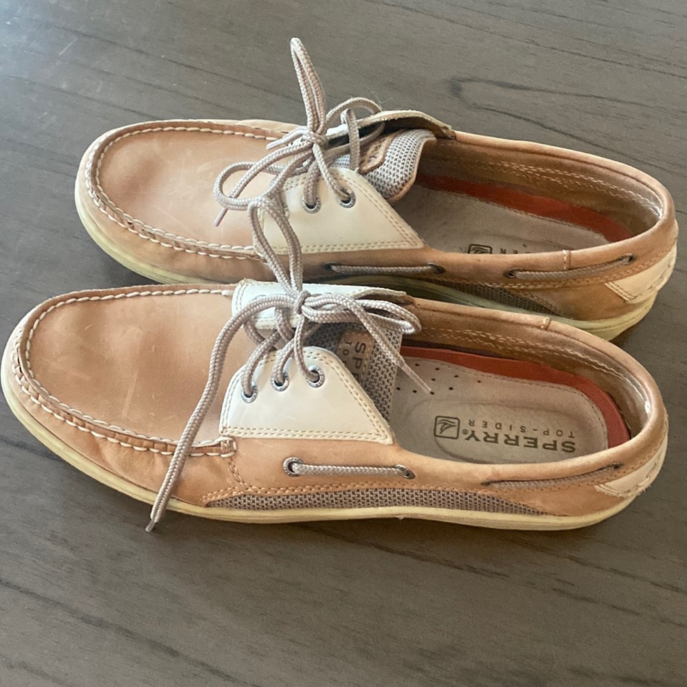 Mens Sperry Size 12